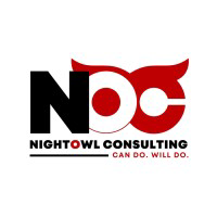 Logo NightOwl Consulting