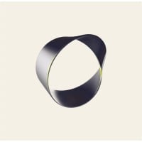 Logo Raenest Business